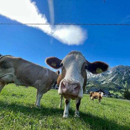Pension Moeslehnerhof Ramsau am Dachstein Dış mekan fotoğraf