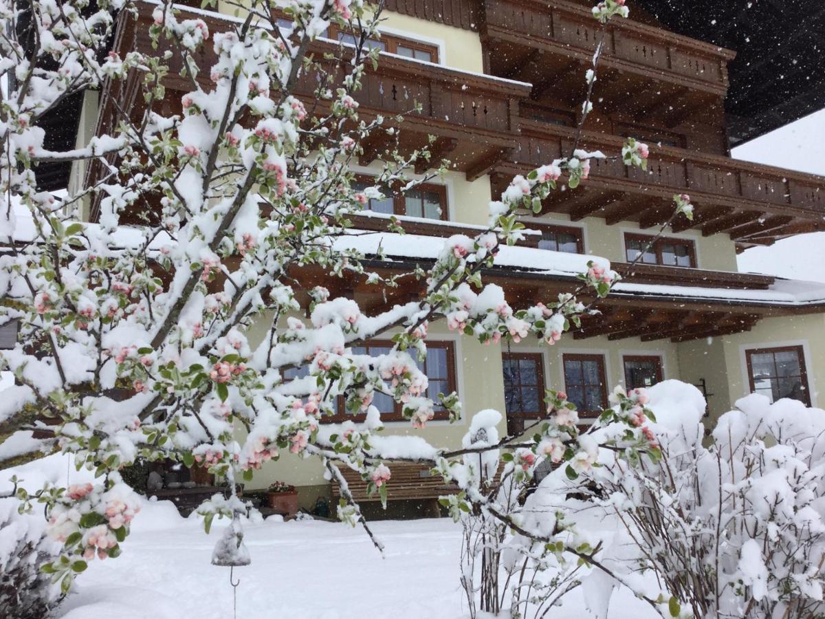 Pension Moslehnerhof Ramsau am Dachstein Dış mekan fotoğraf