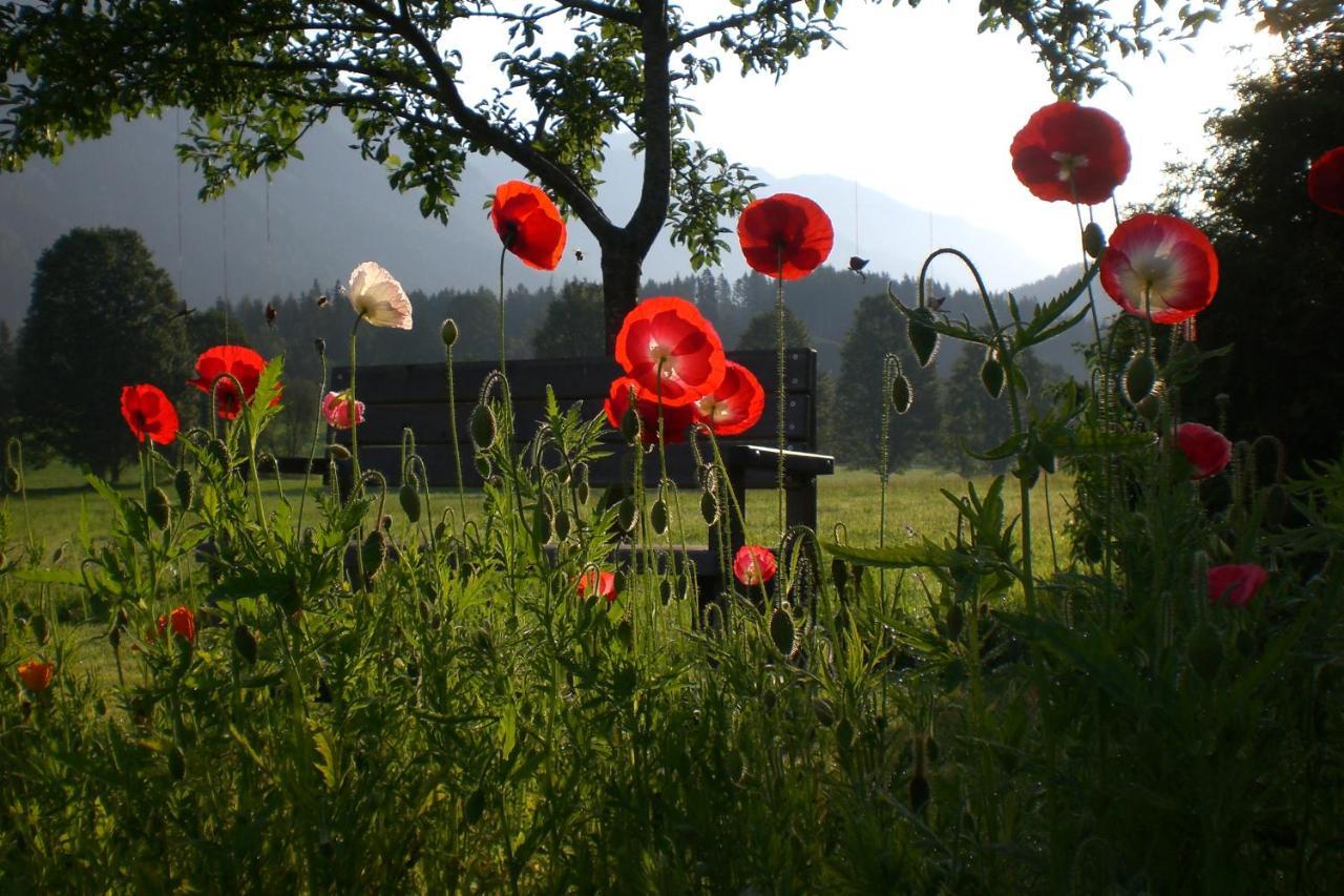 Pension Moeslehnerhof Ramsau am Dachstein Dış mekan fotoğraf