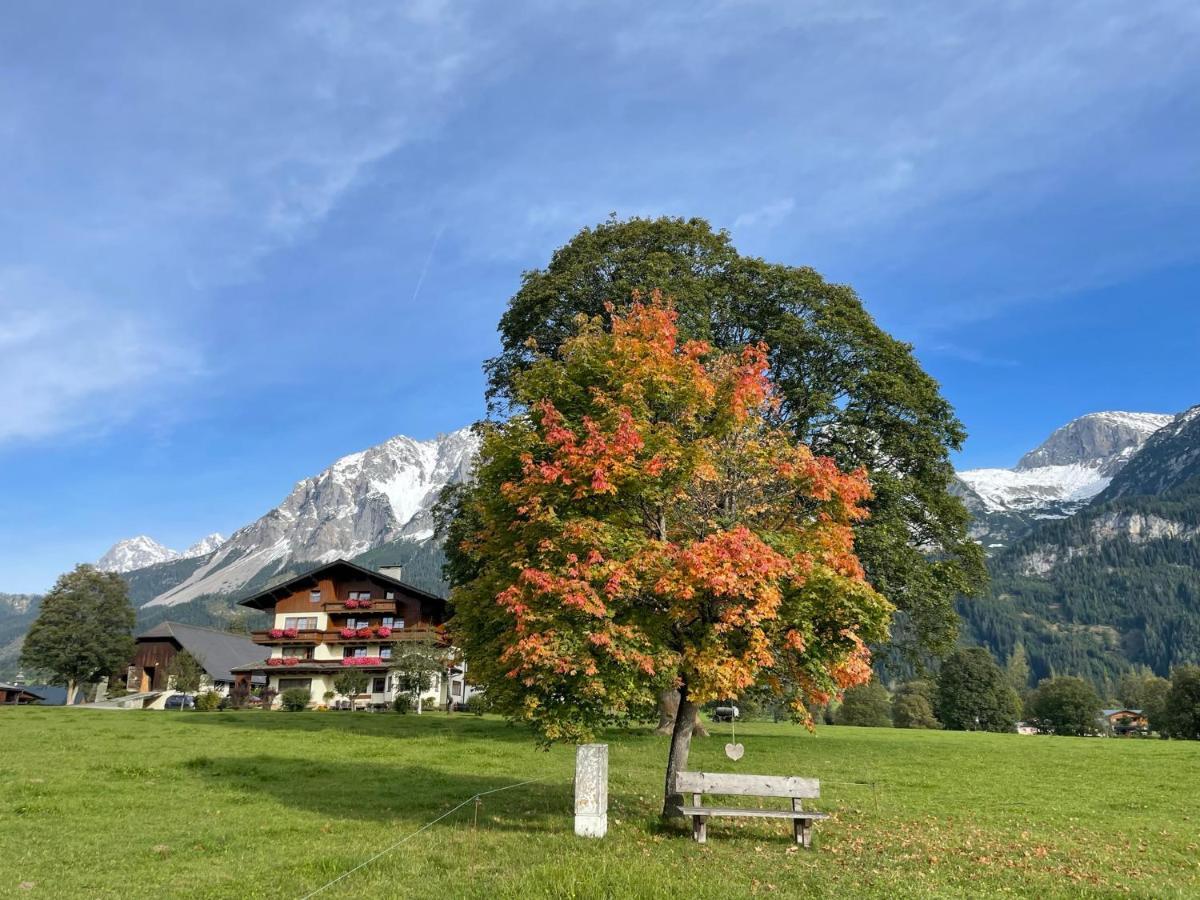 Pension Moeslehnerhof Ramsau am Dachstein Dış mekan fotoğraf