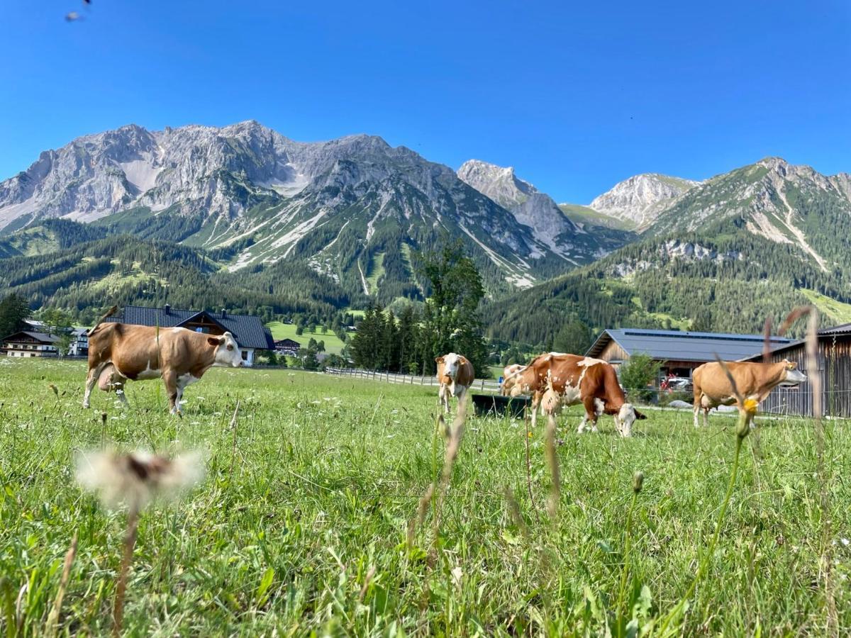 Pension Moslehnerhof Ramsau am Dachstein Dış mekan fotoğraf